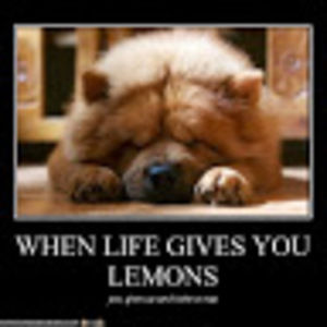 Meet your Posher, Jack